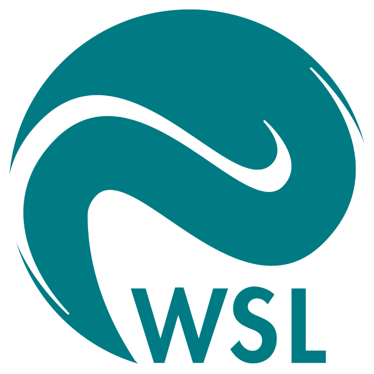logo WSL